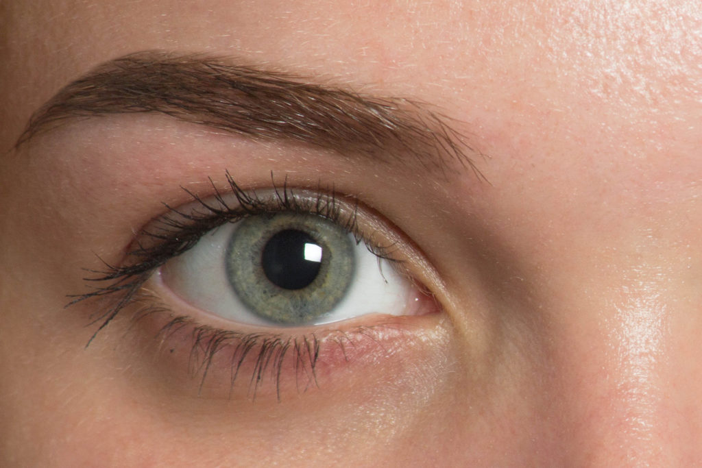 Eyeball, pupil and retina